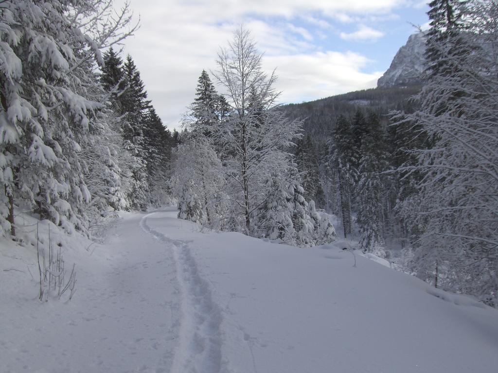 Ferienwohnung Am Roemerweg Wald Inzell Exterior photo
